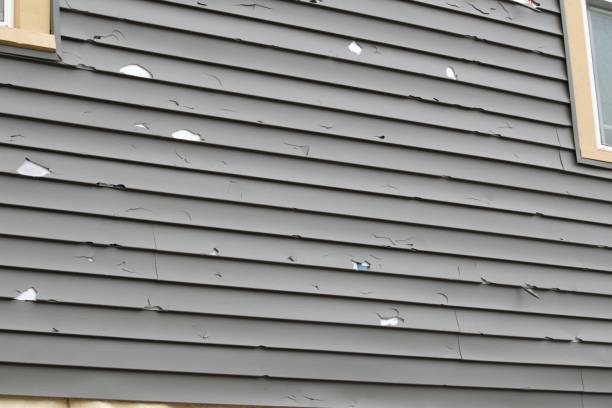 Best Aluminum Siding Installation  in Harb, OR